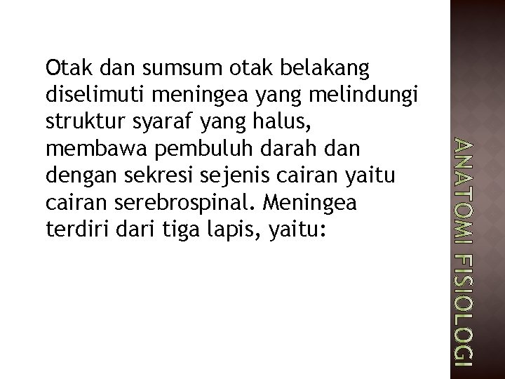 Otak dan sumsum otak belakang diselimuti meningea yang melindungi struktur syaraf yang halus, membawa