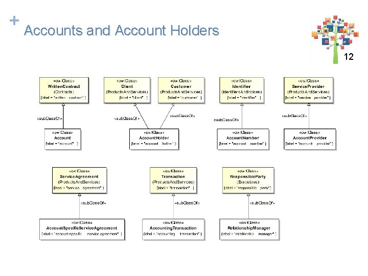 + Accounts and Account Holders 12 12 