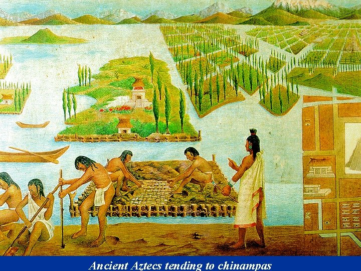 Ancient Aztecs tending to chinampas 