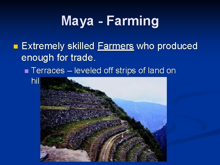 Maya - Farming n Extremely skilled Farmers who produced enough for trade. n Terraces