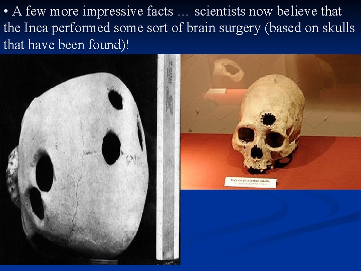  • A few more impressive facts … scientists now believe that the Inca