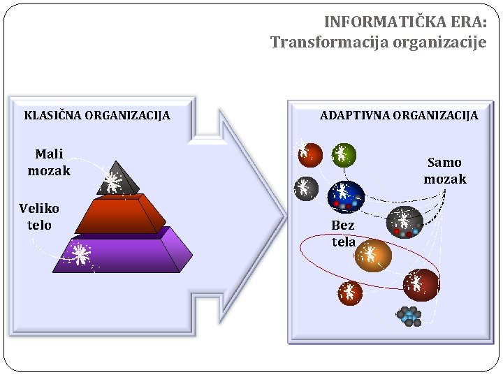 INFORMATIČKA ERA: Transformacija organizacije KLASIČNA ORGANIZACIJA ADAPTIVNA ORGANIZACIJA Mali mozak Veliko telo Samo mozak