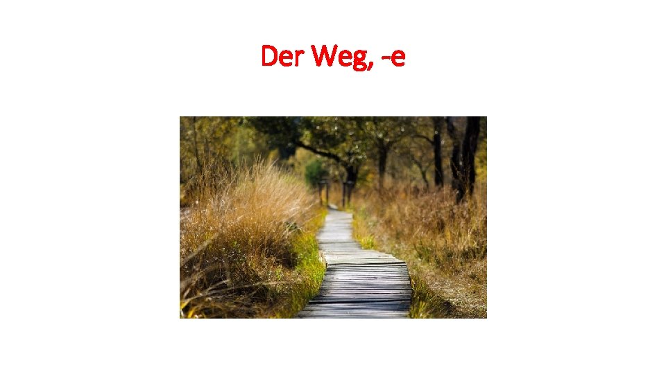 Der Weg, -e 