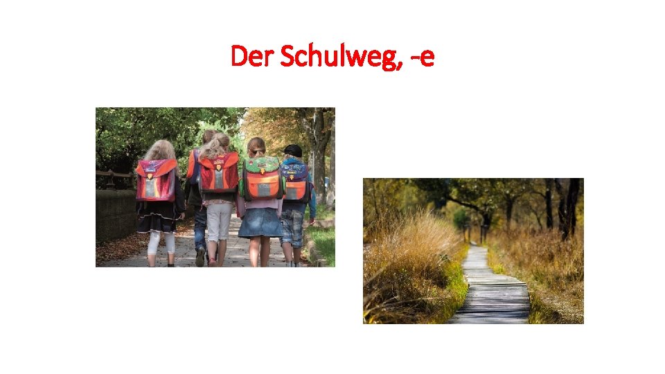 Der Schulweg, -e 