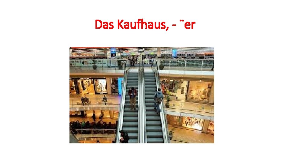 Das Kaufhaus, - ¨er 