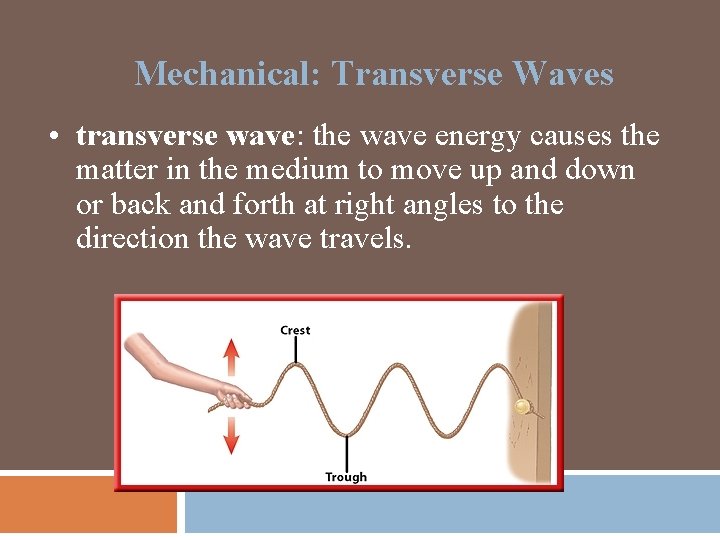 Mechanical: Transverse Waves • transverse wave: the wave energy causes the matter in the