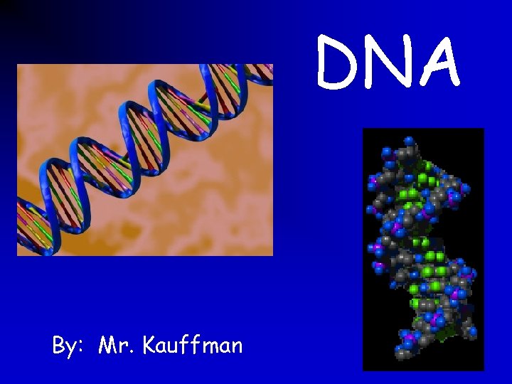 DNA By: Mr. Kauffman 