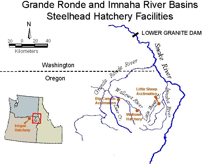Grande Ronde River Summer Steelhead Hatchery Program Review