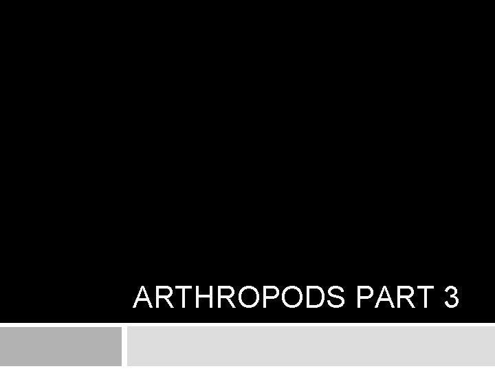 ARTHROPODS PART 3 