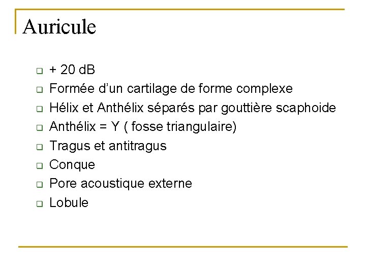 Auricule q q q q + 20 d. B Formée d’un cartilage de forme