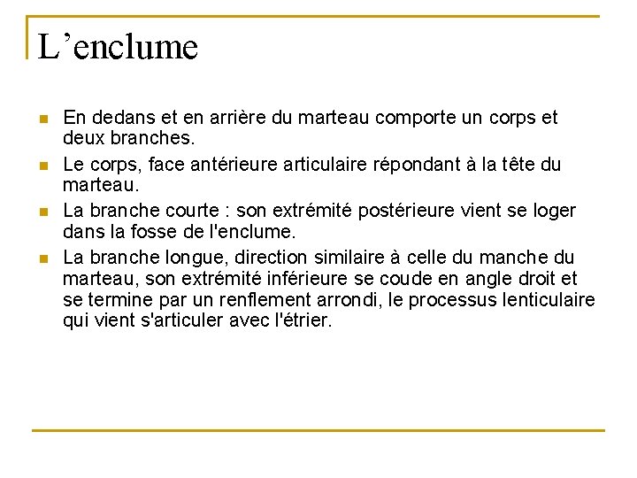 L’enclume n n En dedans et en arrière du marteau comporte un corps et
