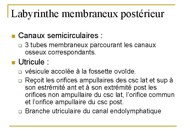 Labyrinthe membraneux postérieur n Canaux semicirculaires : q n 3 tubes membraneux parcourant les