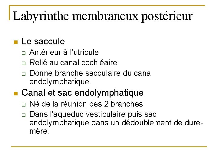 Labyrinthe membraneux postérieur n Le saccule q q q n Antérieur à l’utricule Relié