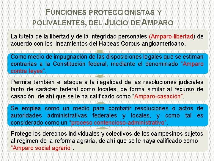FUNCIONES PROTECCIONISTAS Y POLIVALENTES, DEL JUICIO DE AMPARO La tutela de la libertad y