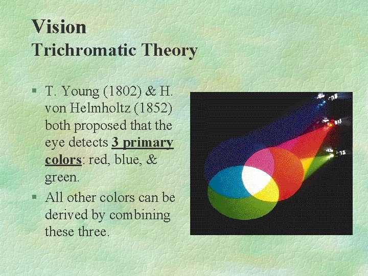 Vision Trichromatic Theory § T. Young (1802) & H. von Helmholtz (1852) both proposed Vision Trichromatic Theory § T. Young (1802) & H. von Helmholtz (1852) both proposed
