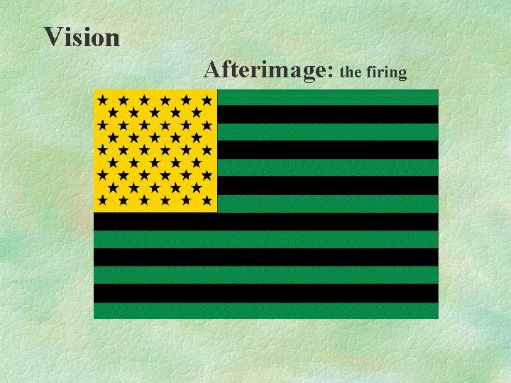 Vision Afterimage: the firing Vision Afterimage: the firing