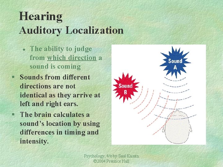 Hearing Auditory Localization The ability to judge from which direction a sound is coming Hearing Auditory Localization The ability to judge from which direction a sound is coming