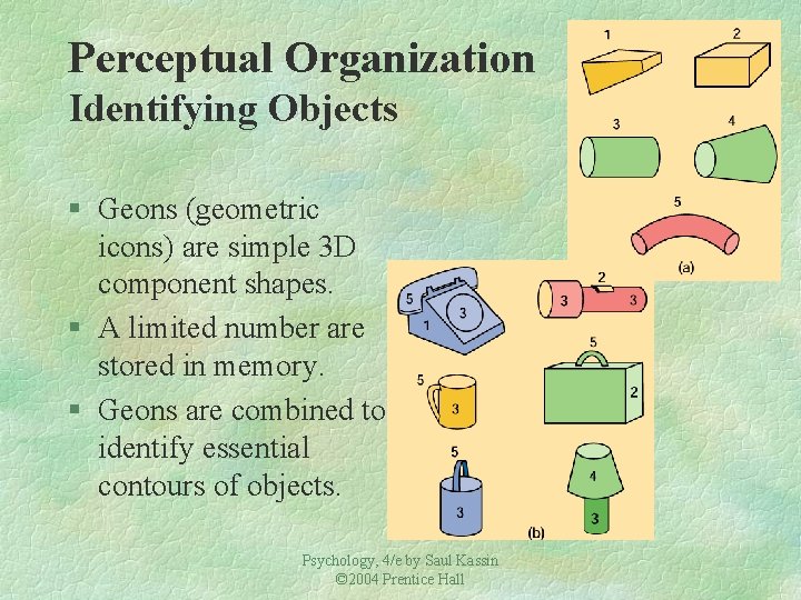 Perceptual Organization Identifying Objects § Geons (geometric icons) are simple 3 D component shapes. Perceptual Organization Identifying Objects § Geons (geometric icons) are simple 3 D component shapes.