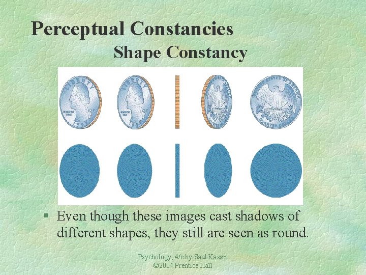 Perceptual Constancies Shape Constancy § Even though these images cast shadows of different shapes, Perceptual Constancies Shape Constancy § Even though these images cast shadows of different shapes,