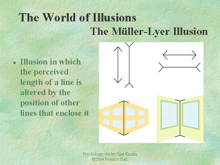 The World of Illusions The Müller-Lyer Illusion l Illusion in which the perceived length The World of Illusions The Müller-Lyer Illusion l Illusion in which the perceived length