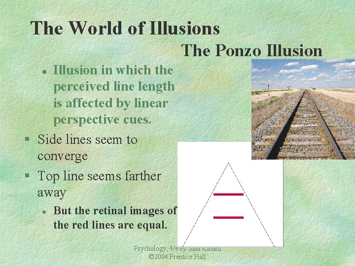 The World of Illusions The Ponzo Illusion in which the perceived line length is The World of Illusions The Ponzo Illusion in which the perceived line length is