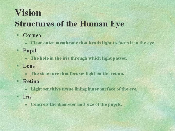 Vision Structures of the Human Eye § Cornea l Clear outer membrane that bends Vision Structures of the Human Eye § Cornea l Clear outer membrane that bends