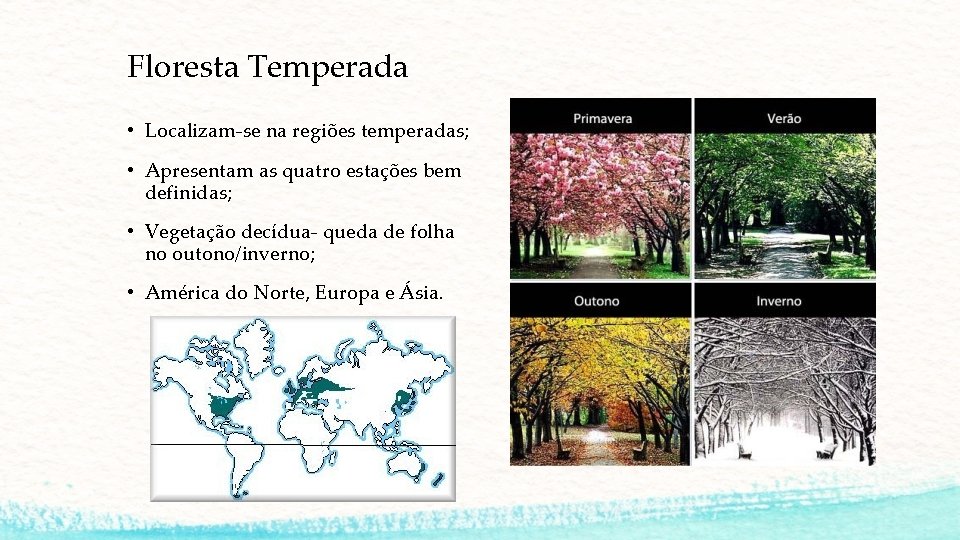 Floresta Temperada • Localizam-se na regiões temperadas; • Apresentam as quatro estações bem definidas;