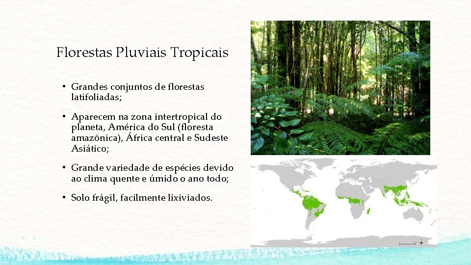Florestas Pluviais Tropicais • Grandes conjuntos de florestas latifoliadas; • Aparecem na zona intertropical Florestas Pluviais Tropicais • Grandes conjuntos de florestas latifoliadas; • Aparecem na zona intertropical