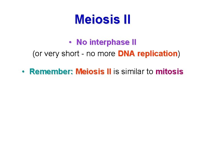 Meiosis II • No interphase II (or very short - no more DNA replication) Meiosis II • No interphase II (or very short - no more DNA replication)