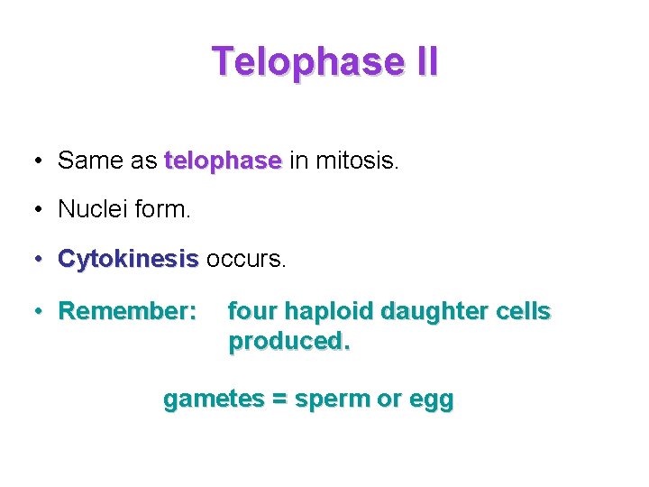 Telophase II • Same as telophase in mitosis. • Nuclei form. • Cytokinesis occurs. Telophase II • Same as telophase in mitosis. • Nuclei form. • Cytokinesis occurs.