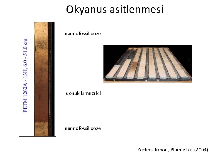 Okyanus asitlenmesi nannofossil ooze donuk kırmızı kil nannofossil ooze Zachos, Kroon, Blum et al.