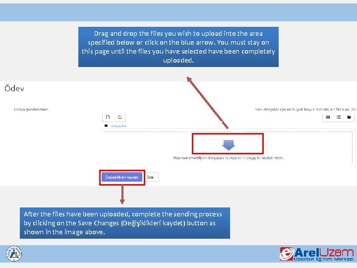 Drag and drop the files you wish to upload into the area specified below