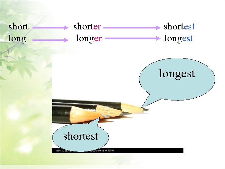 short long shorter longer shortest longest shortest 