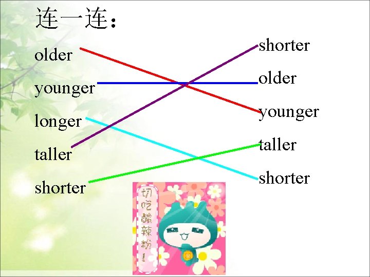 连一连： older younger longer taller shorter older younger taller shorter 