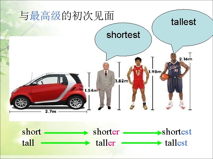 与最高级的初次见面 tallest short tall shorter taller shortest tallest 