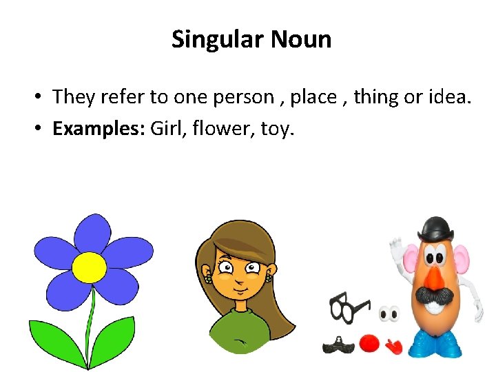 Singular Noun • They refer to one person , place , thing or idea.