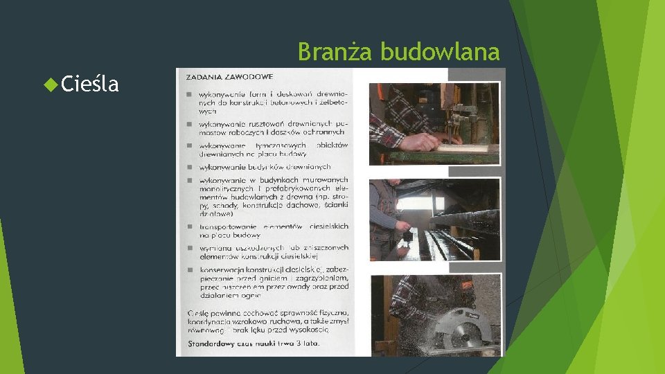 Branża budowlana Cieśla 