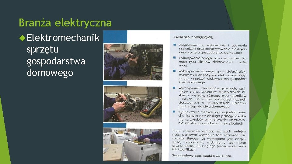 Branża elektryczna Elektromechanik sprzętu gospodarstwa domowego 