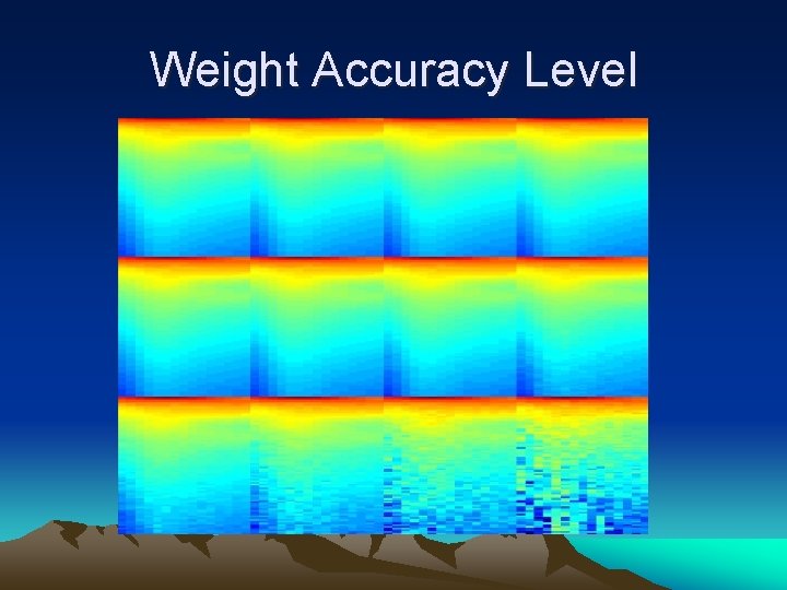 Weight Accuracy Level 