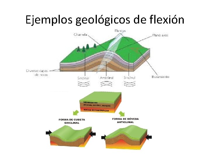 Ejemplos geológicos de flexión 