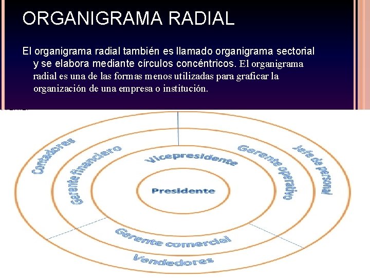 ORGANIGRAMA RADIAL El organigrama radial también es llamado organigrama sectorial y se elabora mediante