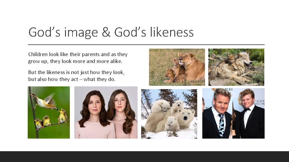God’s image & God’s likeness Children look like their parents and as they grow