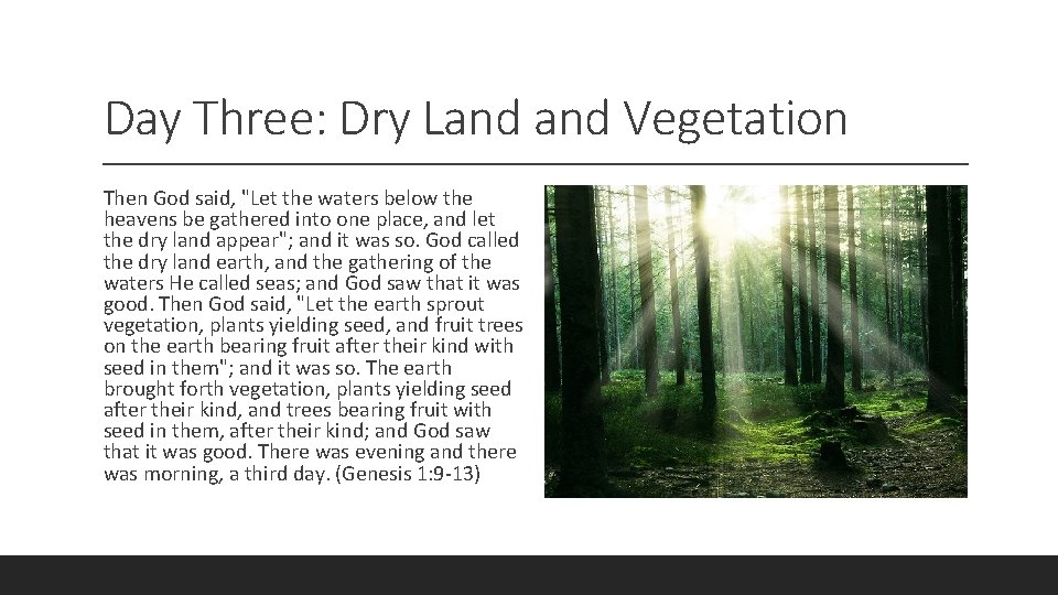 Day Three: Dry Land Vegetation Then God said, "Let the waters below the heavens