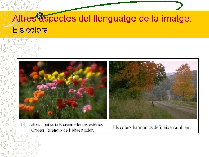 Altres aspectes del llenguatge de la imatge: Els colors 