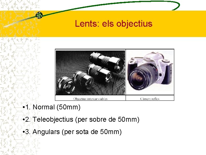 Lents: els objectius • 1. Normal (50 mm) • 2. Teleobjectius (per sobre de