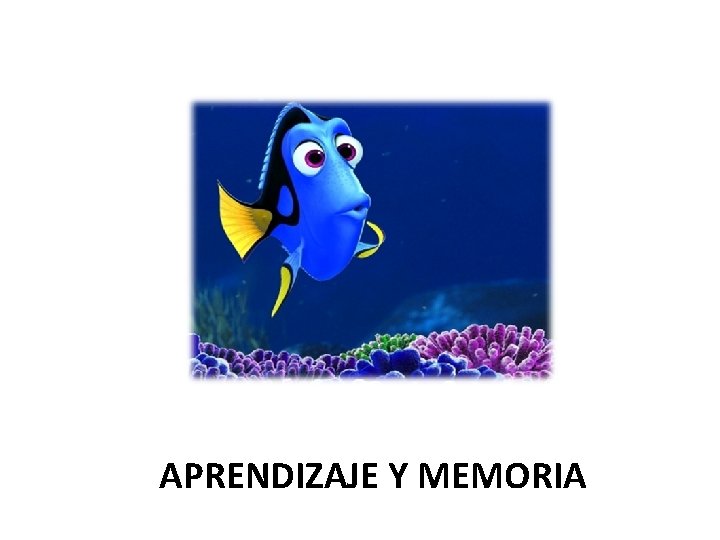 APRENDIZAJE Y MEMORIA 