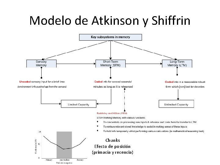 Modelo de Atkinson y Shiffrin Chunks Efecto de posición (primacía y recencia) 