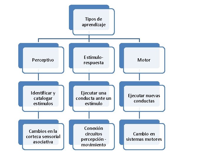 Tipos de aprendizaje Perceptivo Estímulorespuesta Motor Identificar y catalogar estímulos Ejecutar una conducta ante