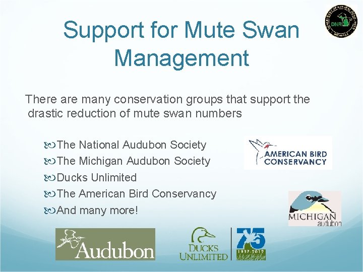 Support for Mute Swan Management There are many conservation groups that support the drastic