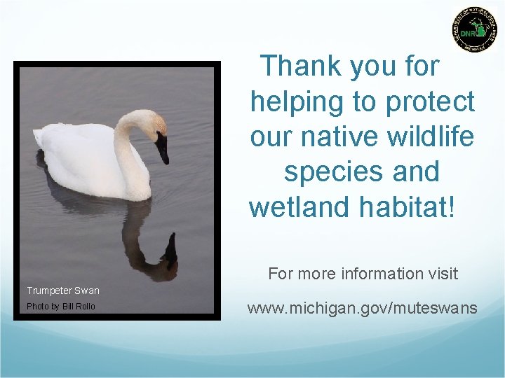 Thank you for helping to protect our native wildlife species and wetland habitat! For